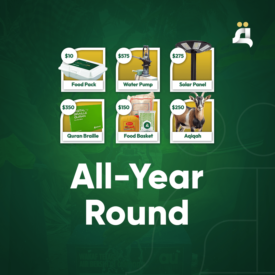 All-Year Round - Qohyrah